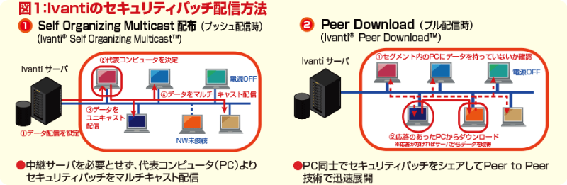 導入事例