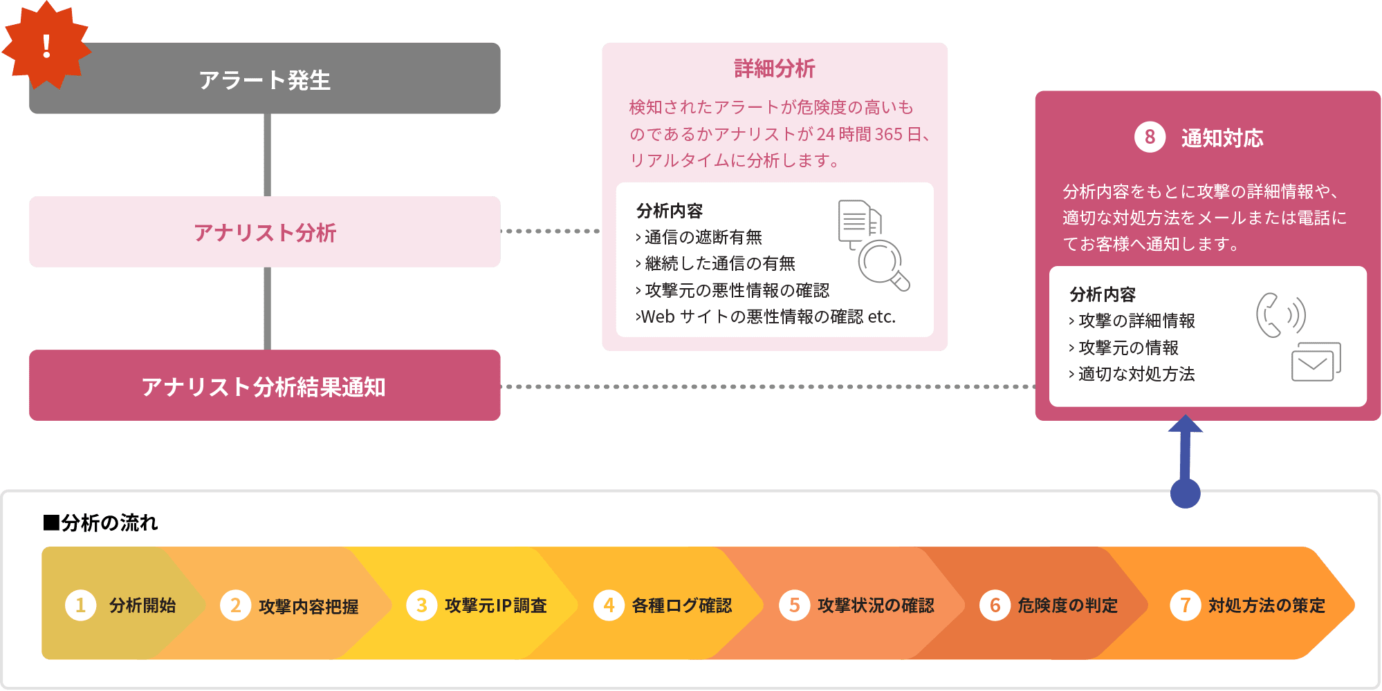 アナリストによる詳細分析